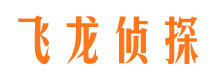 石鼓飞龙私家侦探公司